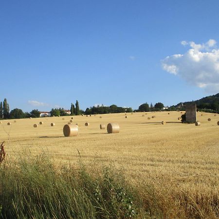 Il Risveglio Dei Sensi Villa Fossato di Vico Eksteriør bilde